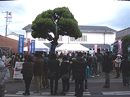 水木しげる記念館　カニ感謝祭